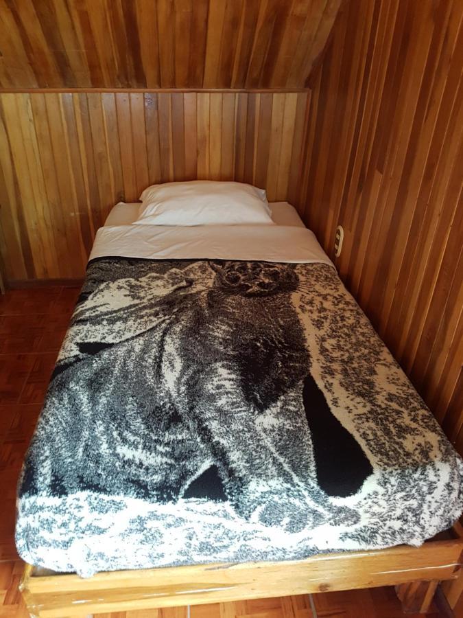 Hostel Monteverde Backpackers Luaran gambar